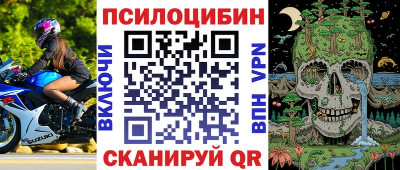 Галлюциногенные грибы Cubensis  кракен рабочий сайт  Звенигород 